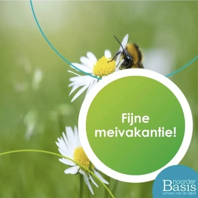 Instagram bericht 18072576760899019
